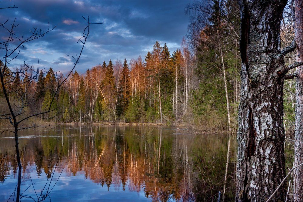 Весна, как осень