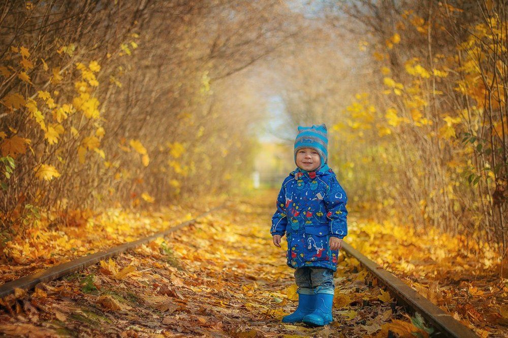 Золотая осень
