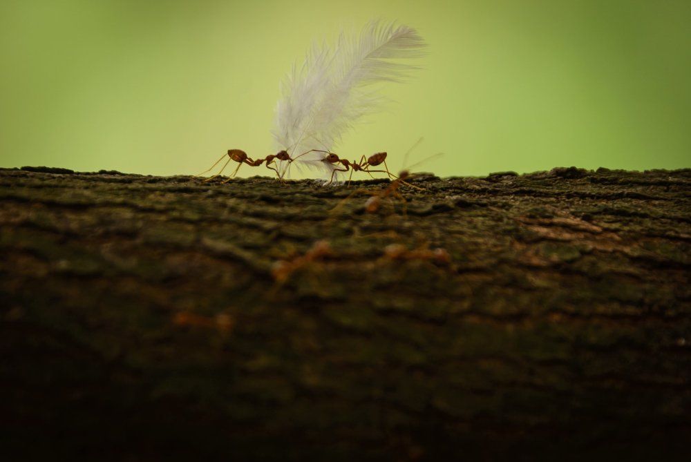 Moment of Great Teamwork