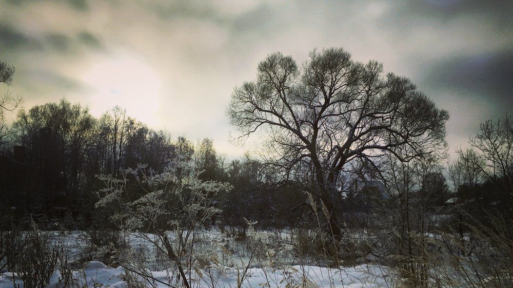 Зимняя прогулка