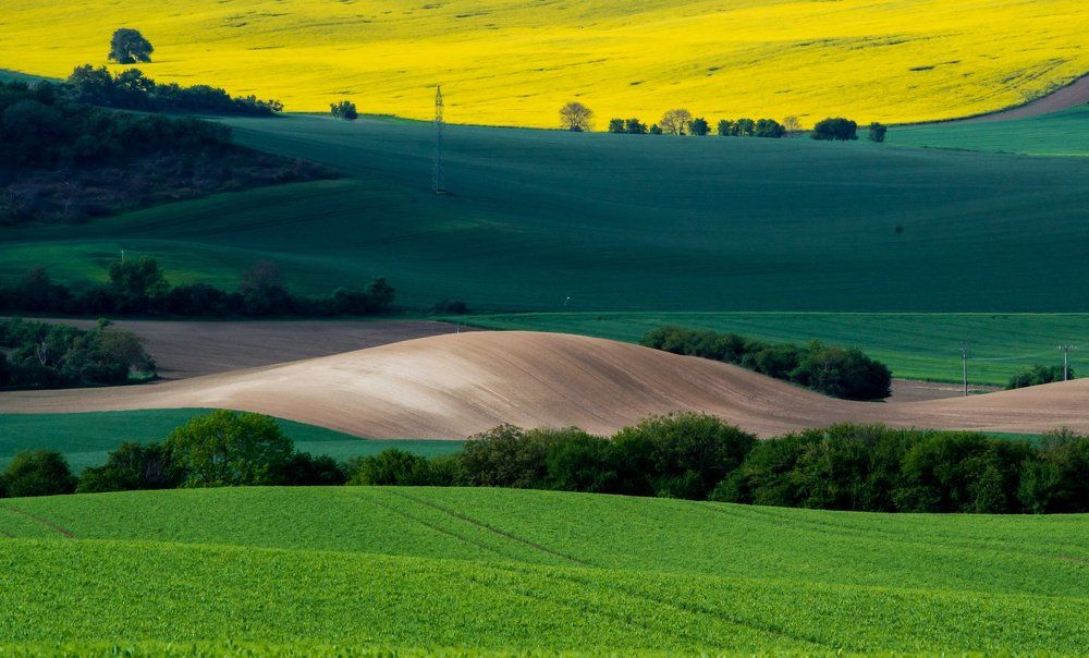 Моравия в мае