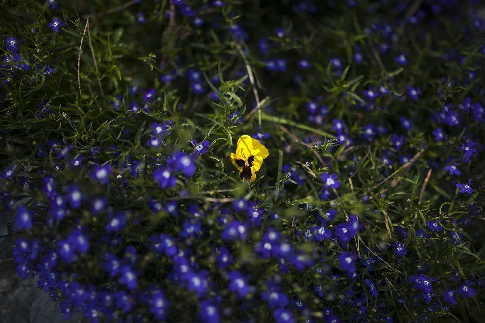 Photograph by Бахтин Вячеслав