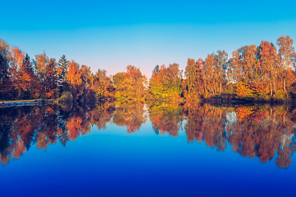 Reflections and autumn