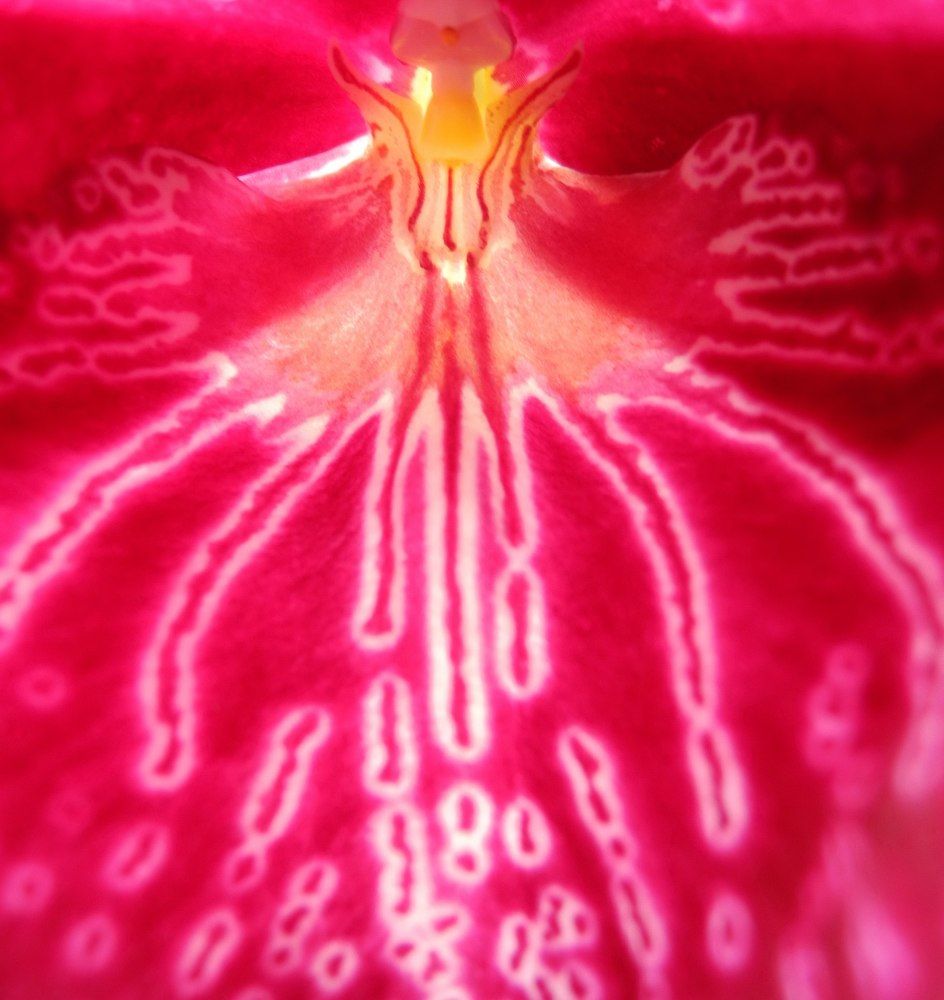 Фантасмагорический монстр