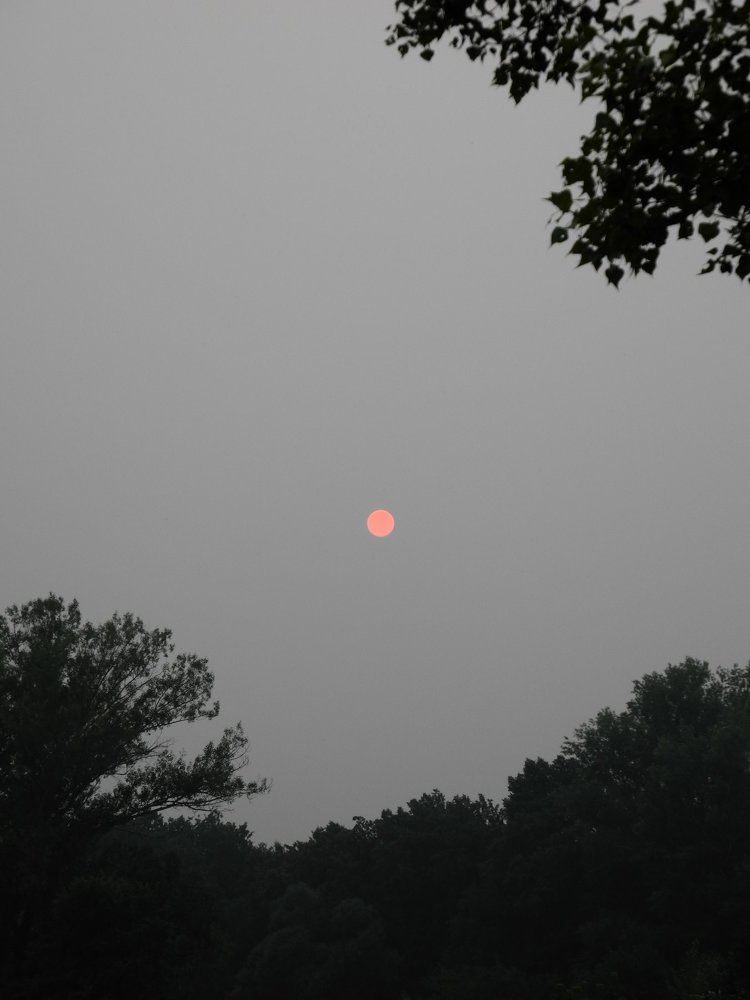 что-то красное ... сегодня солнышко