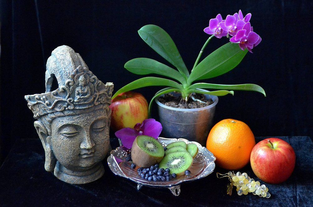 Натюрморт с орхидеей