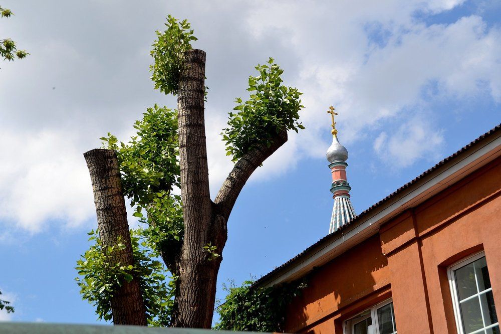 Движение вверх