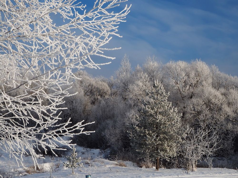 Зимнее чудо!