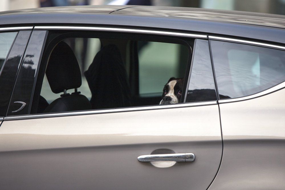 Едет на работу