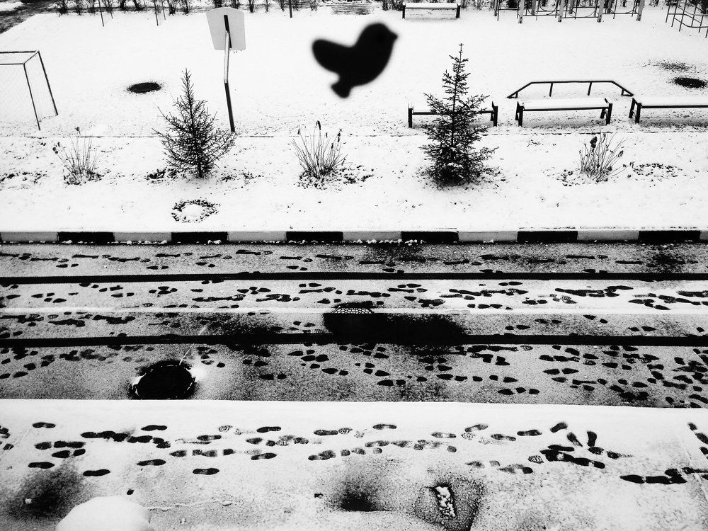 Зимняя графика