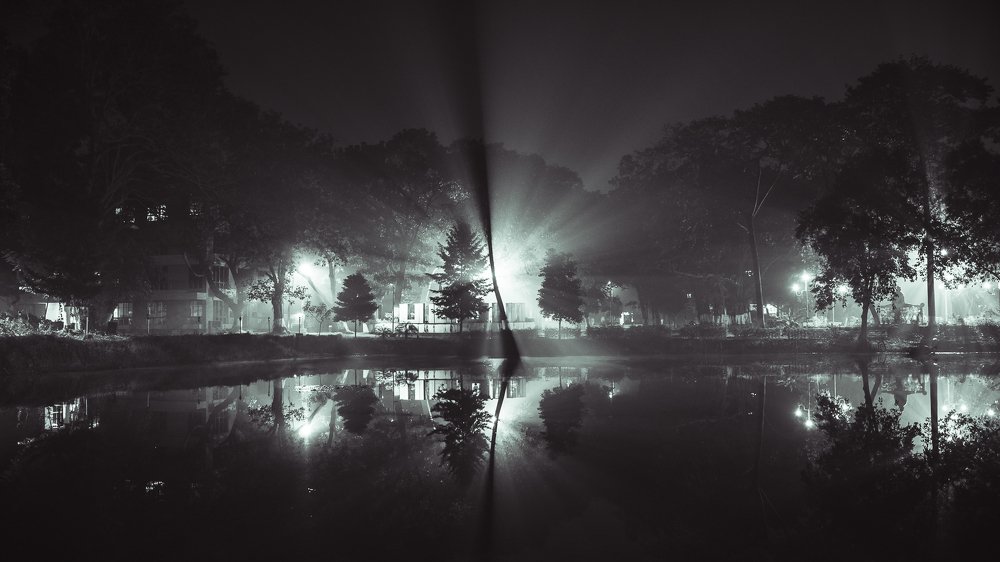 REFLECTIONS