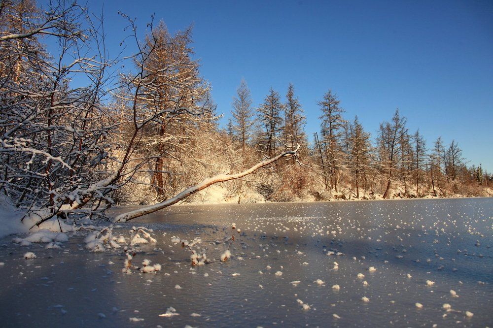 Зима пришла