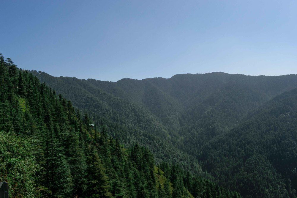 Green Valley of India