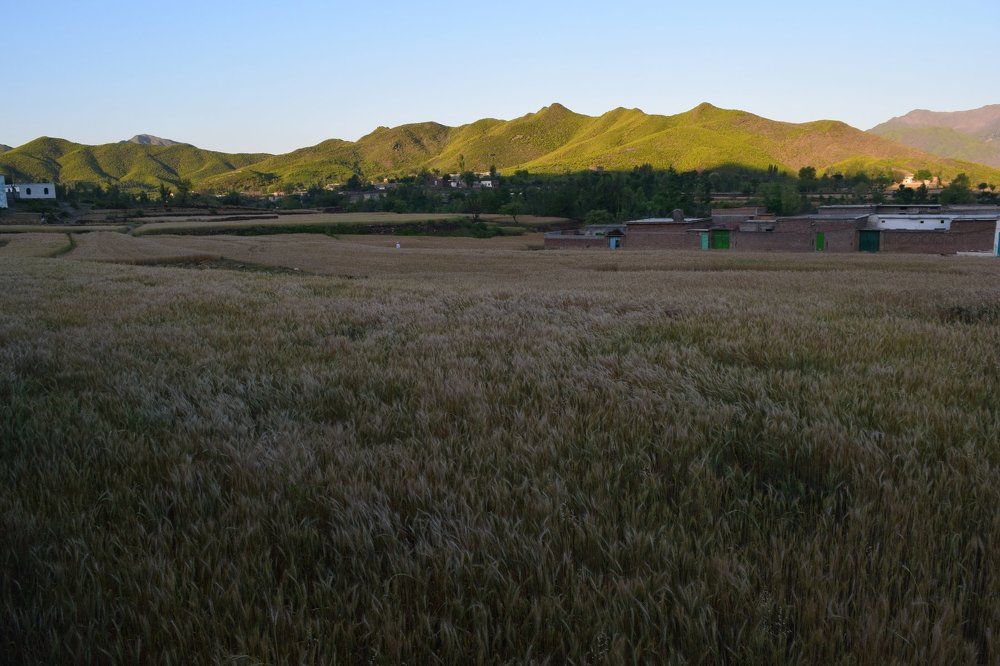 My Village Landscape