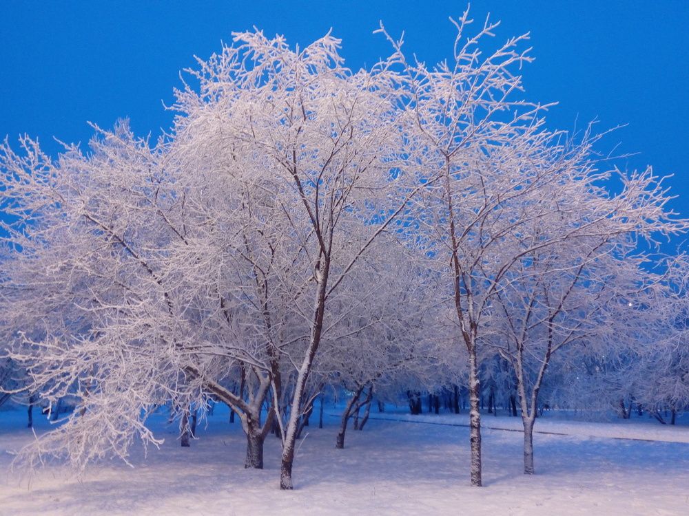 Зимний вечер