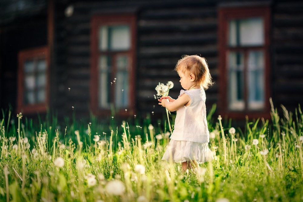 Photograph by Костюк Зоя