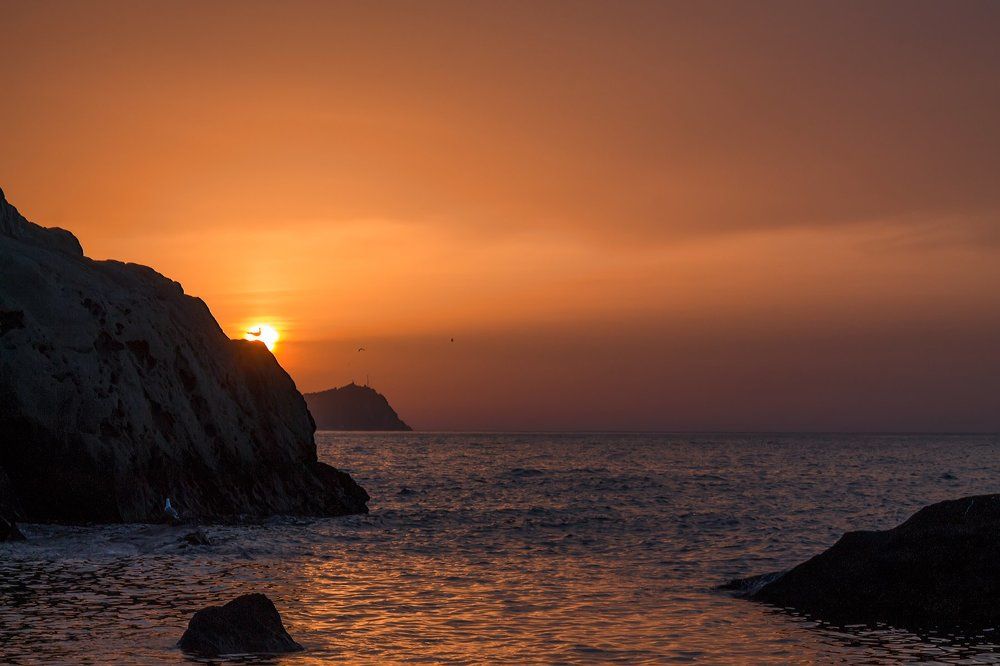 Птица-солнце