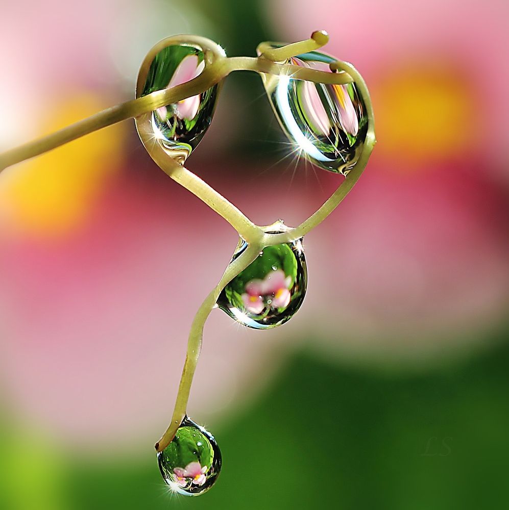 Остановись, мгновение!