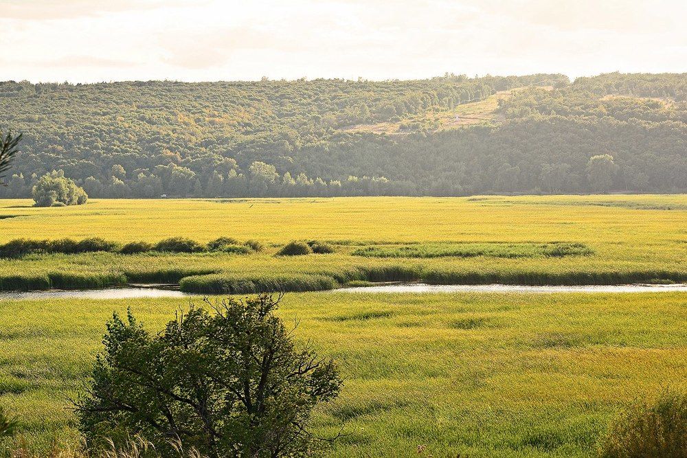 Photograph by Ирина Засолова