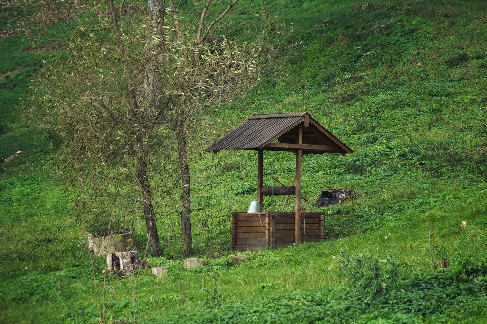 Photograph by Жукова Галина