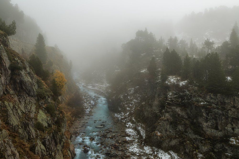 Туманные перспективы