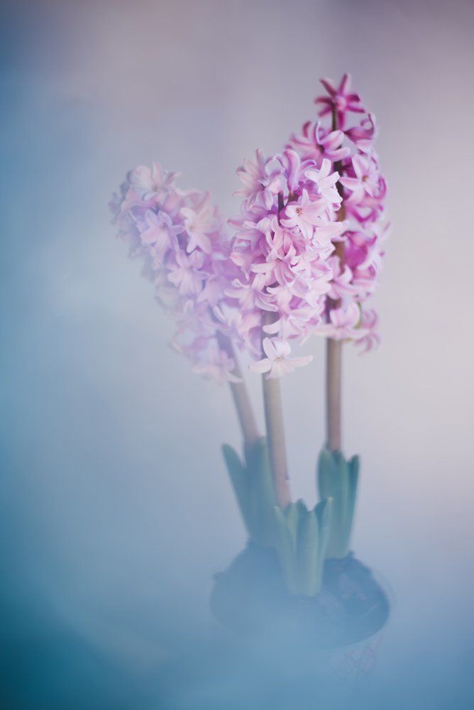 Photograph by Елена Александрова