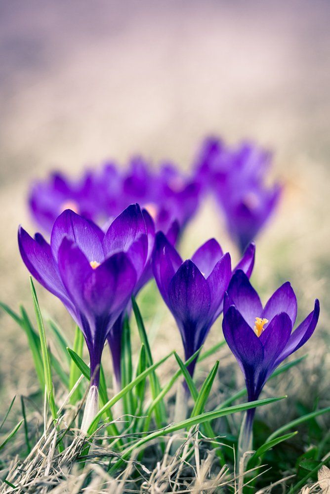 Photograph by Елена Александрова