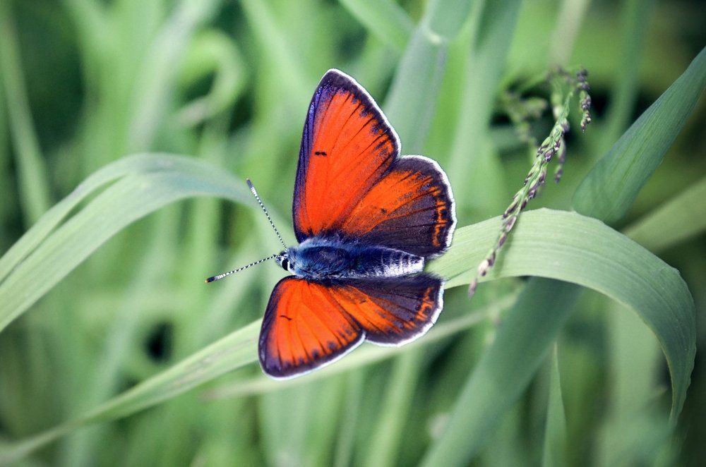 Photograph by Anna Saltykowa