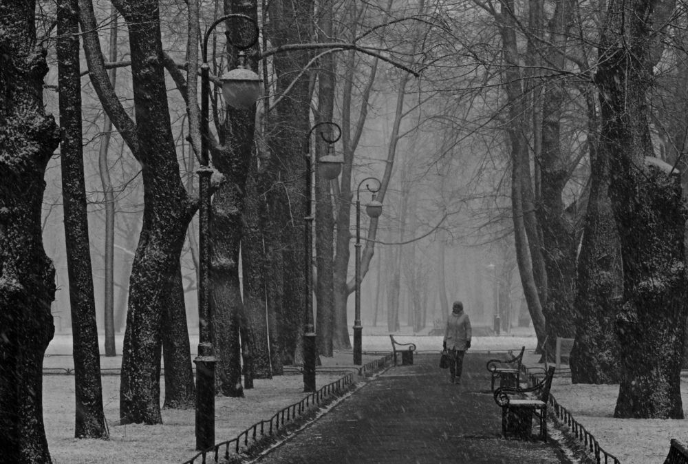 Photograph by Гонохина Александра