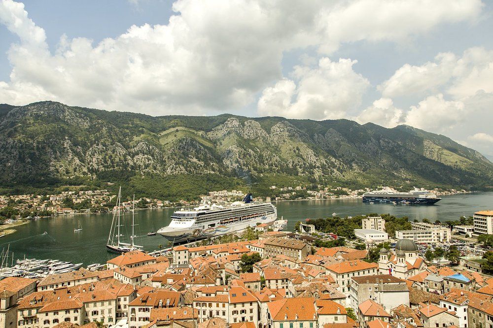 Мы привезли гостей