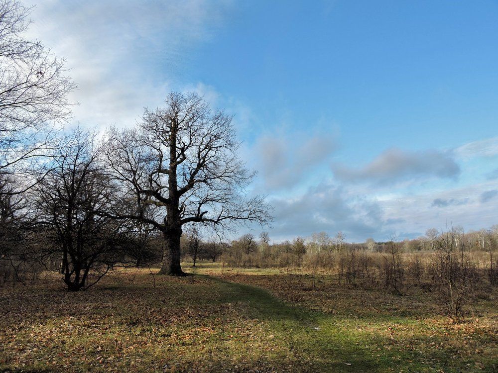 Рождественская весна