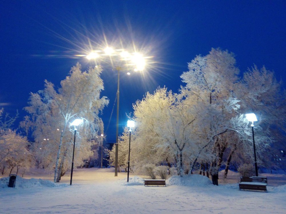 Фонари в зимних сумерках