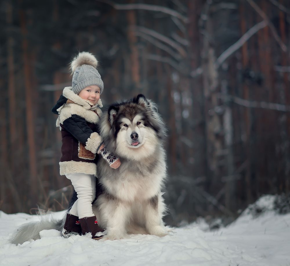 Мой верный друг