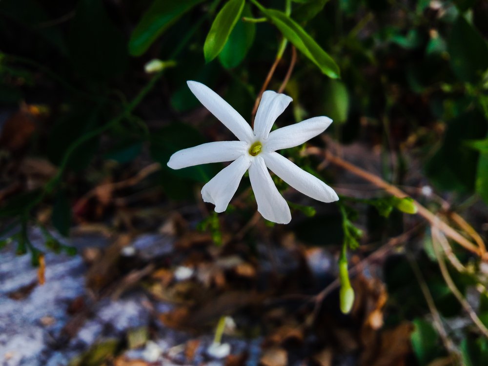 Photograph by Vamsi Matta