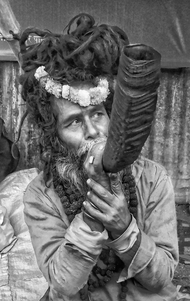 The "SADHU"