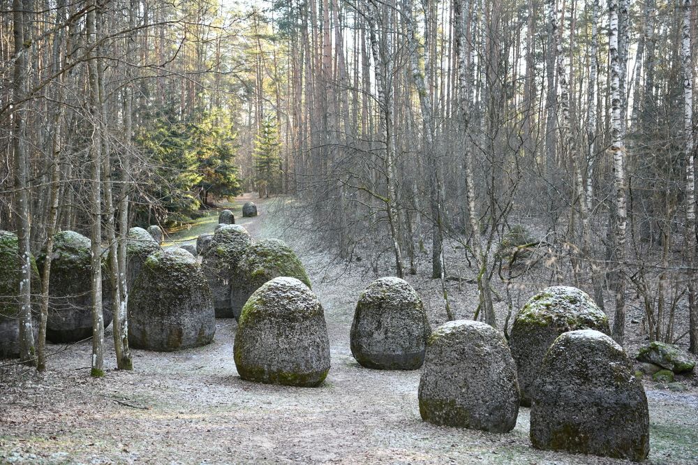 Пространство неопознанного роста
