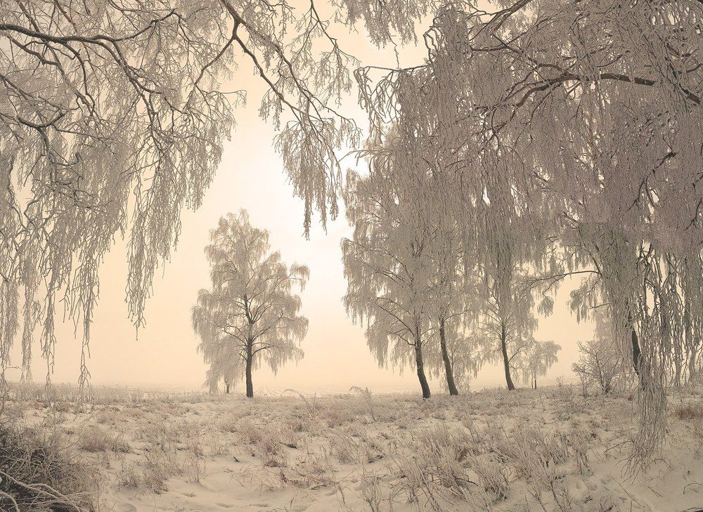 "Теплое" зимнее утро