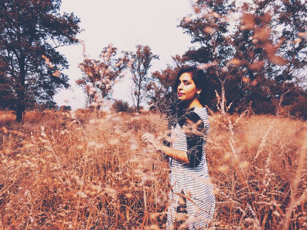 Into the forest
