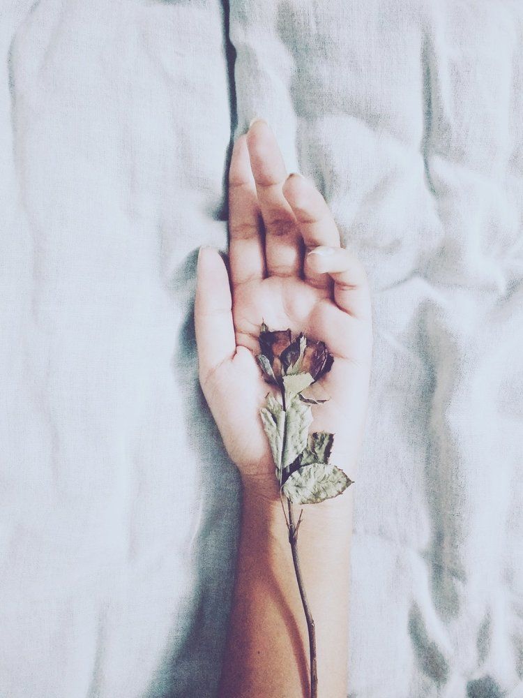 Nurturing dead
