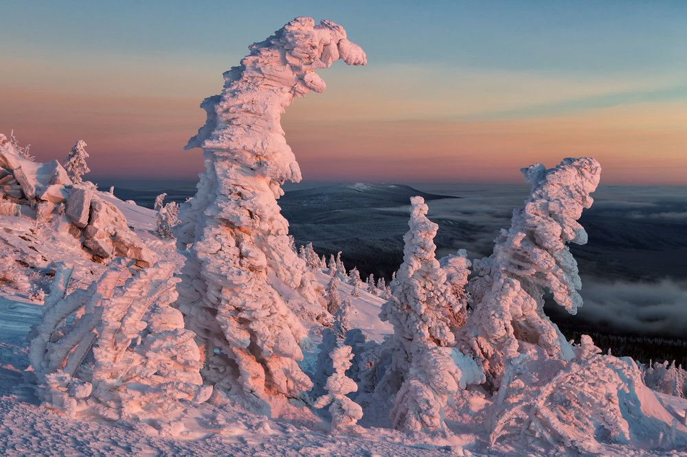 Уснувшие до лета