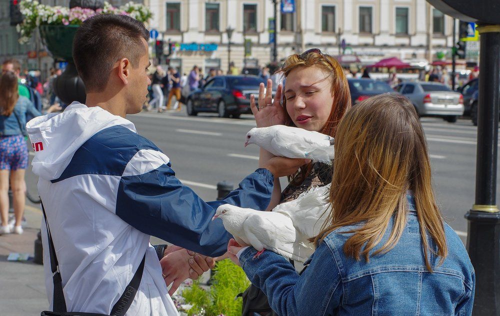 Летний Невский.