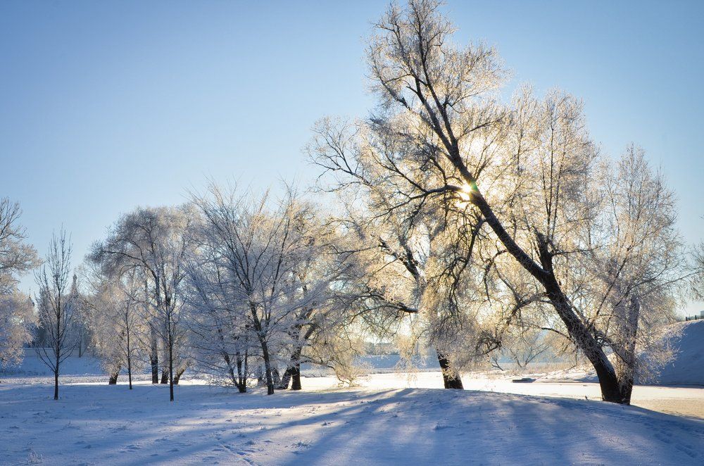 Зимняя сказка....