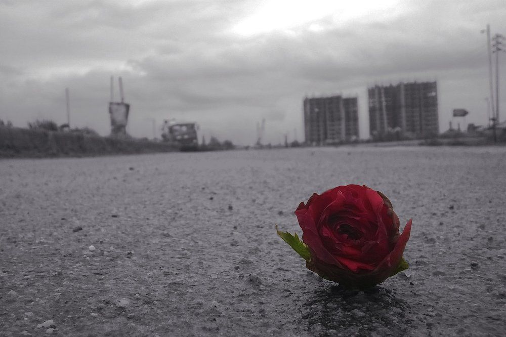 LONLINESS