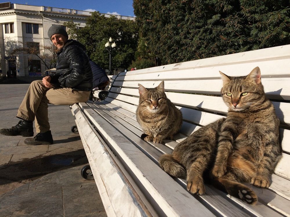 Без названия