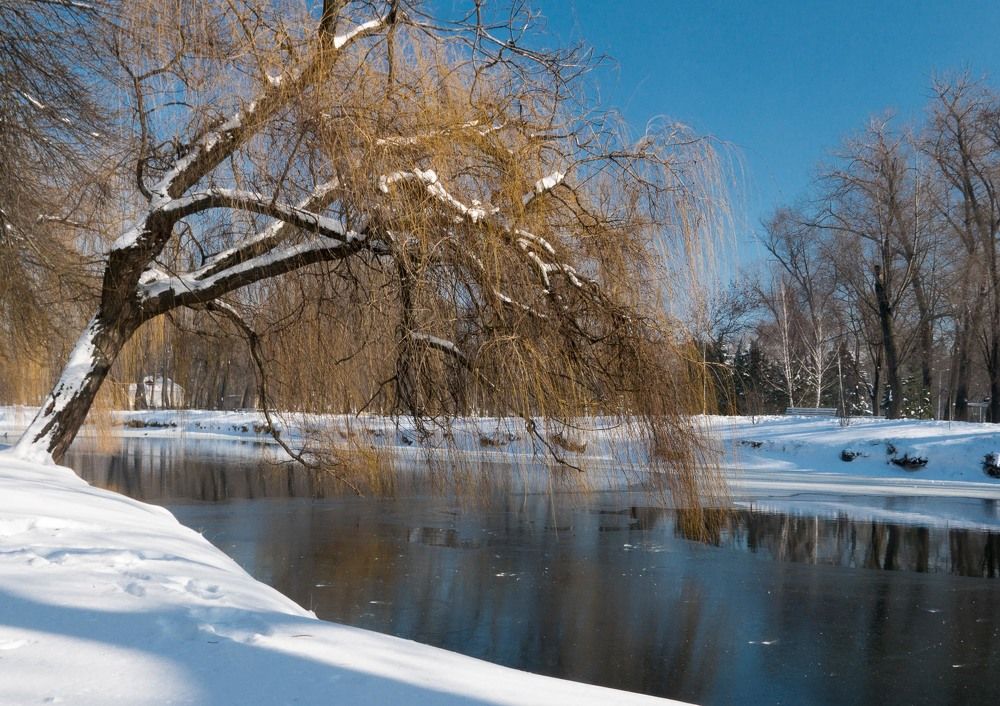 Зима в парке