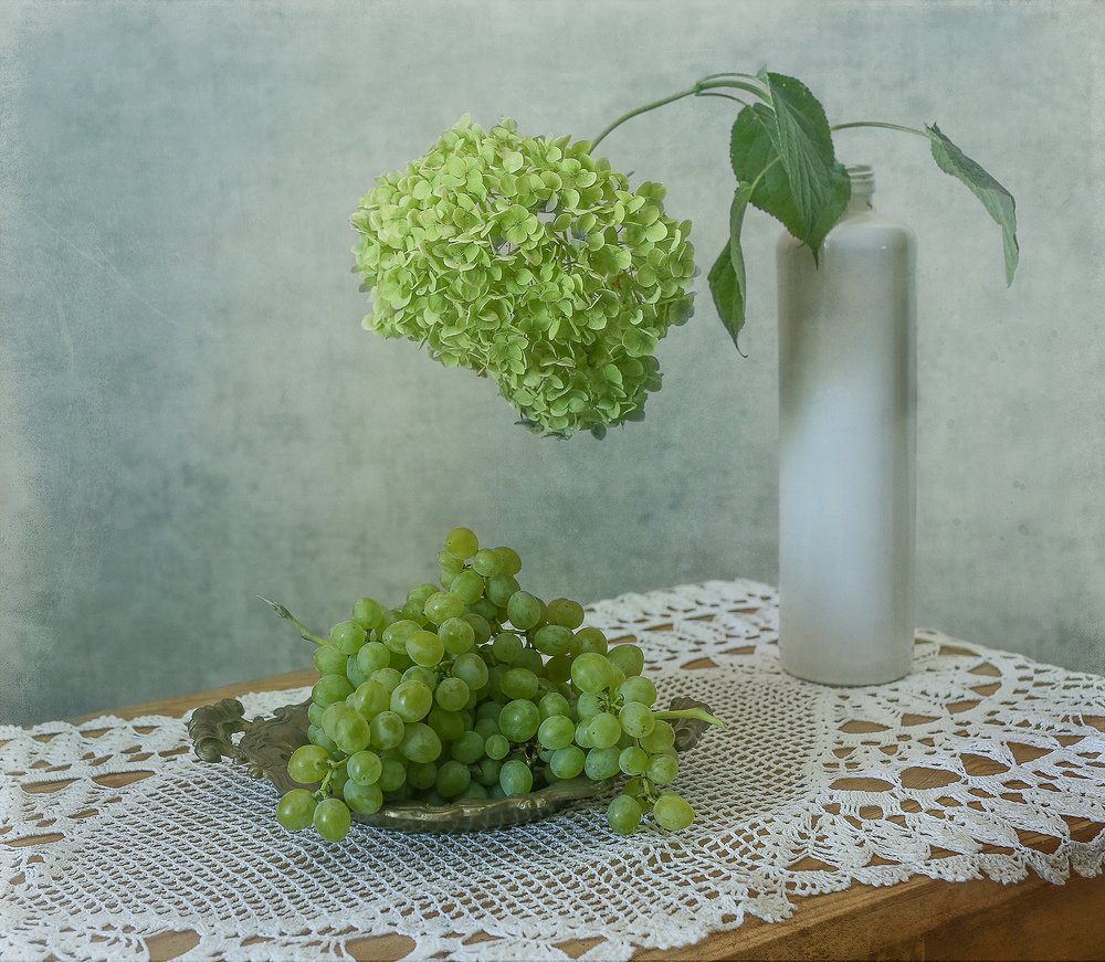 про...гортензию