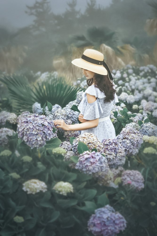 rounded with hydrangea