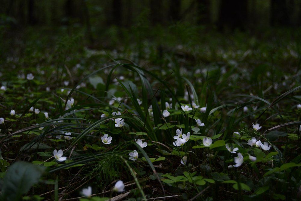 Photograph by Яна Кобелева