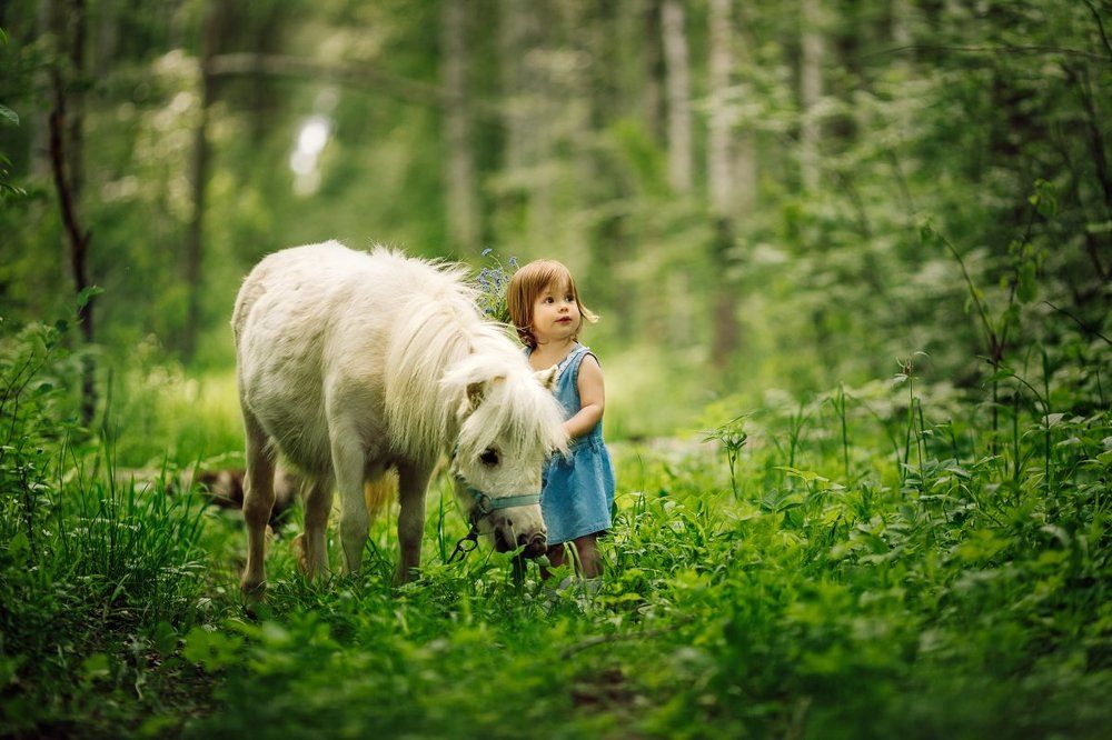 Photograph by Костюк Зоя