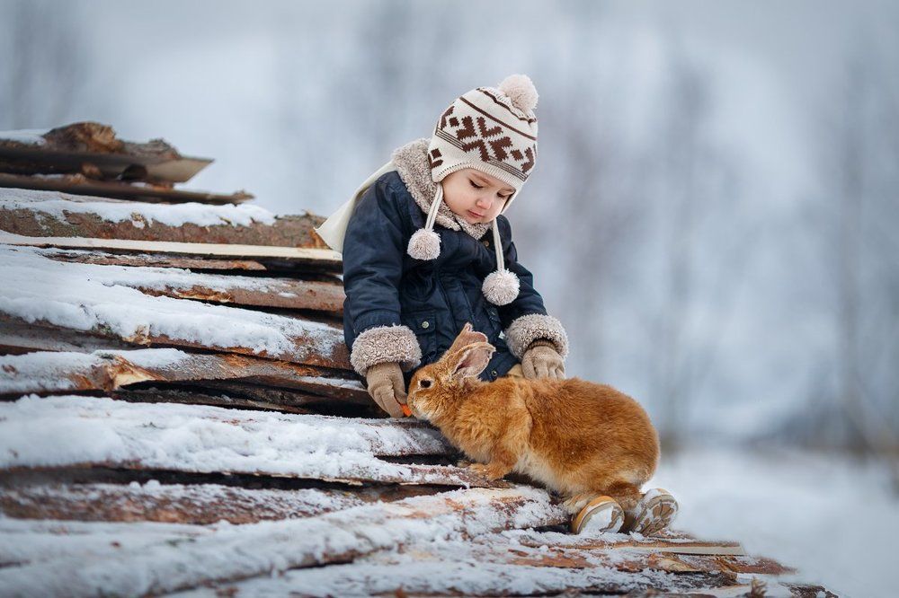 Photograph by Костюк Зоя